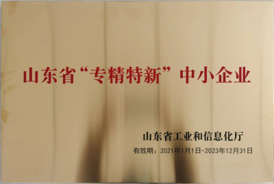 مؤسسة مهنية وخاصة وجديدة